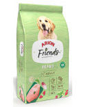 arion friends bravo