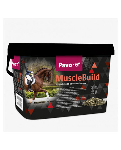 Pavo MuscleBuild