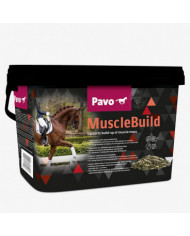 Pavo MuscleBuild