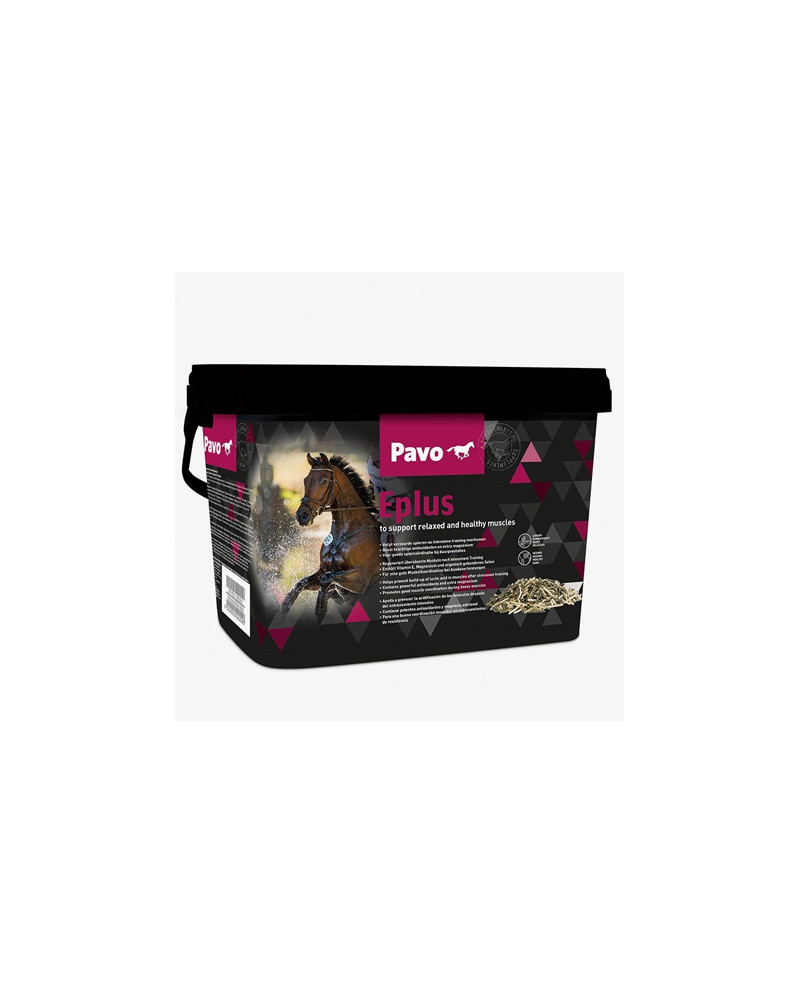 Pavo Eplus