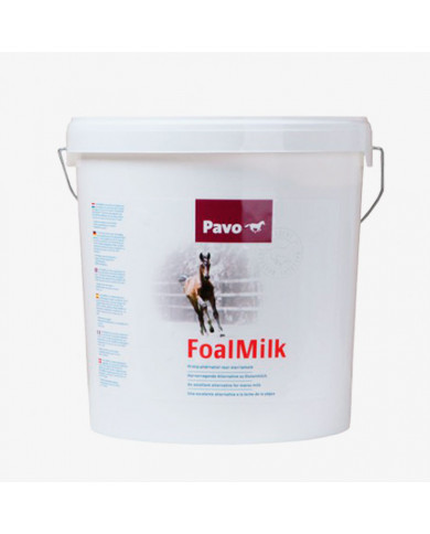 Pavo FoalMilk