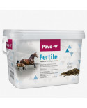 Pavo Fertilite