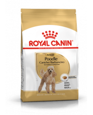 Royal Canin Poodle