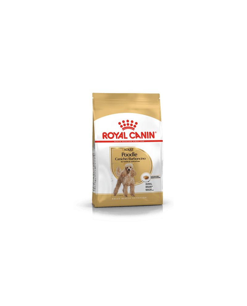 Royal Canin Poodle caniche Royal Canin Poodle caniche