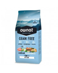 Ownat Prime Gran Free Kitten