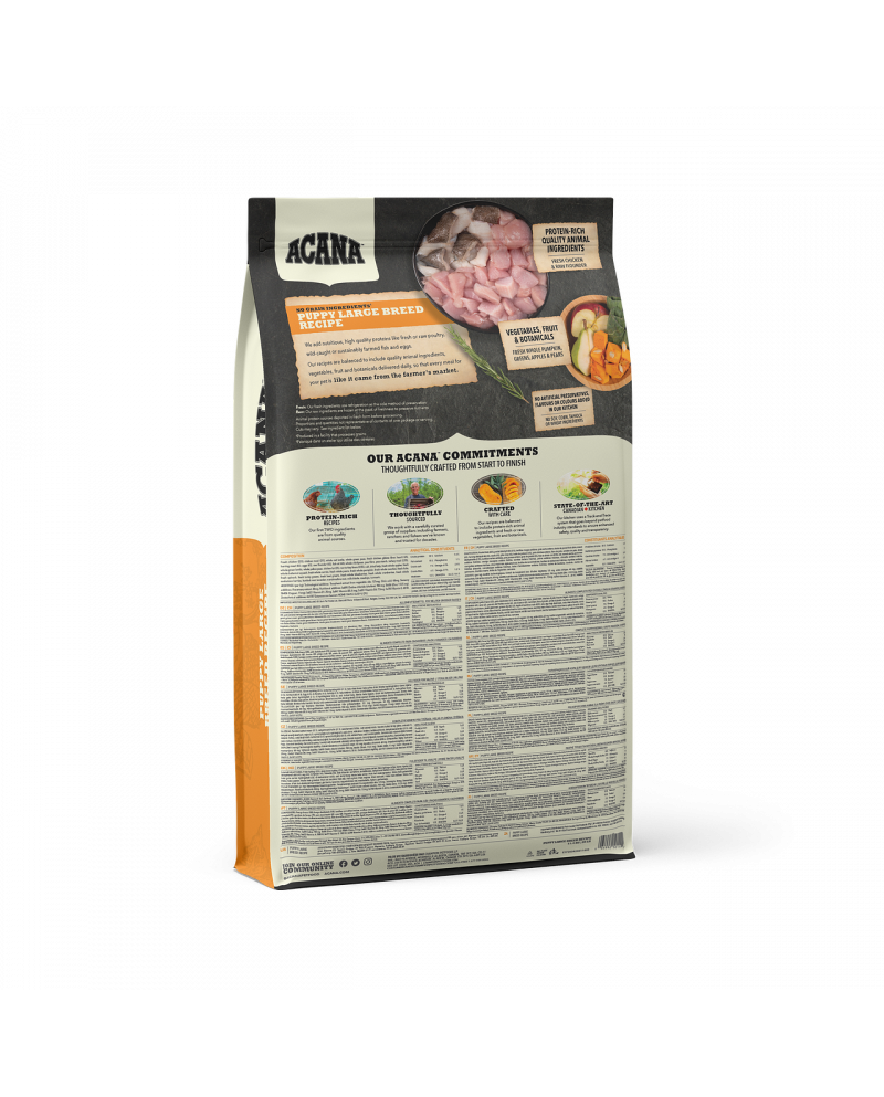 Acana Puppy Large Breed