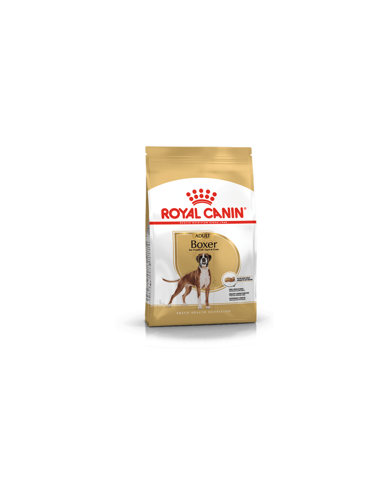Royal Canin Boxer Adulto