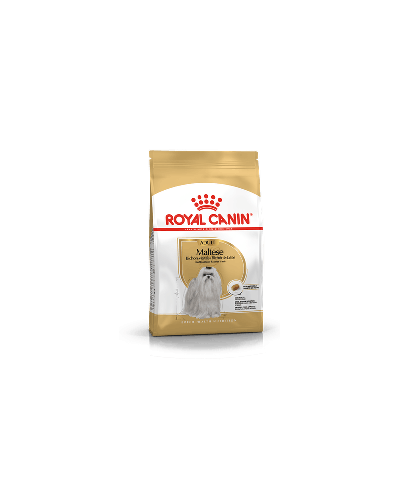 Royal canin bichon sales maltese
