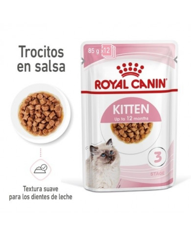 royal canin kitten royal canin kitten