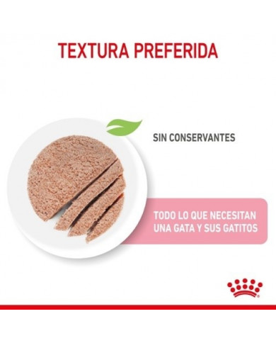 Royal Canin Mother Babycat 195gr Royal Canin Mother Babycat 195gr