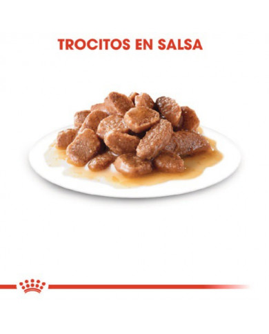Royal Canin Instinctive Trocitos Salsa Royal Canin Instinctive Trocitos Salsa