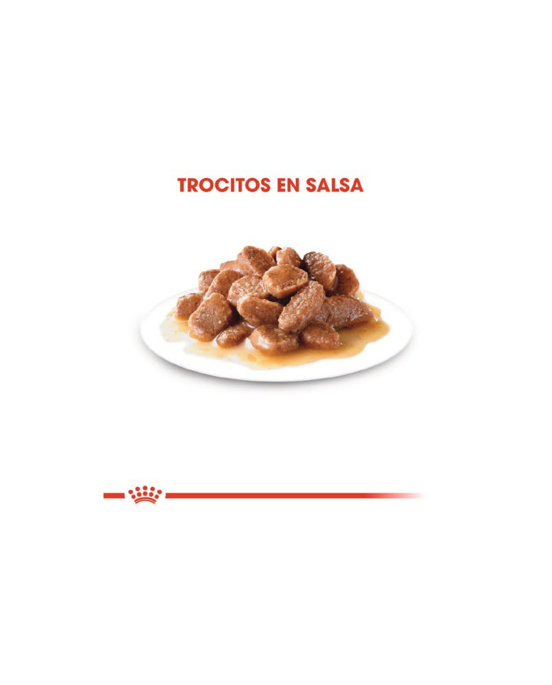 Royal Canin Instinctive Trocitos Salsa