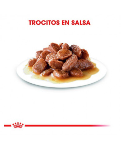 Royal Canin Light Bocaditos Salsa Royal Canin Light Bocaditos Salsa