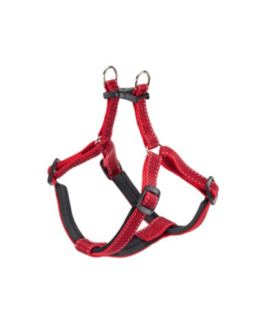 Arnes Daytona Deluxe Rojo Arnes Daytona Deluxe Rojo