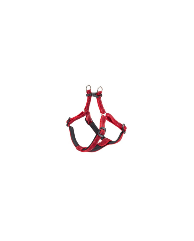 Arnes Daytona Deluxe Rojo