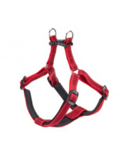 Arnes Daytona Deluxe Rojo