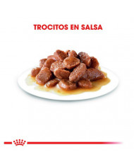 Royal Canin Hairball Cat Bocaditos Salsa 85gr