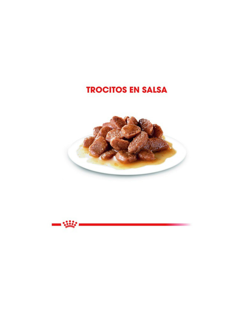 Royal Canin Appetite Control Sterelizado Bocaditos Salsa