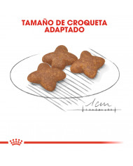 Royal Canin Mini Adulto 8Kg Royal Canin Mini Adulto 8Kg