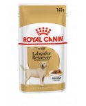 Royal Canin Labrador Comida Humeda