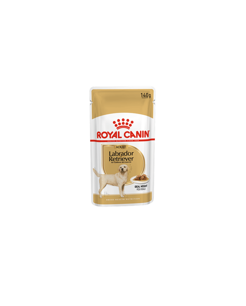 Royal Canin Labrador Comida Humeda
