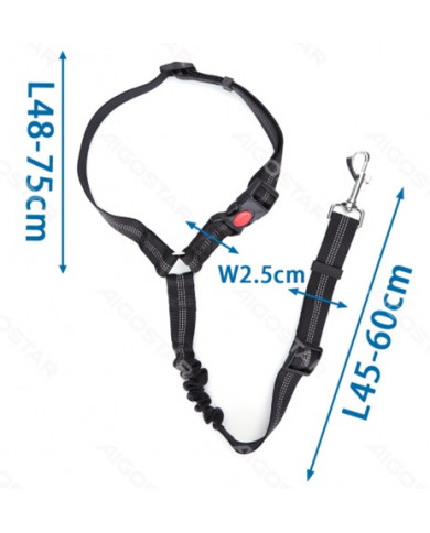 Collar con correa elástica para CaniCross Collar con correa elástica para CaniCross