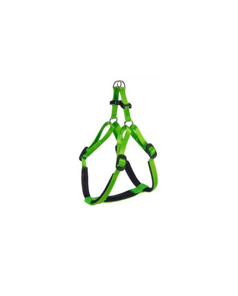 Arnes Daytona Verde Arnes Daytona Verde