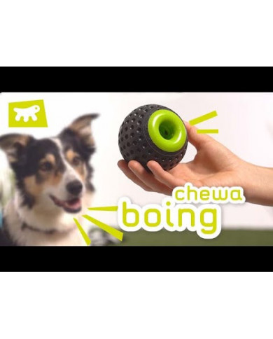 Pelota Chewa Boing para perro motivadora educacion
