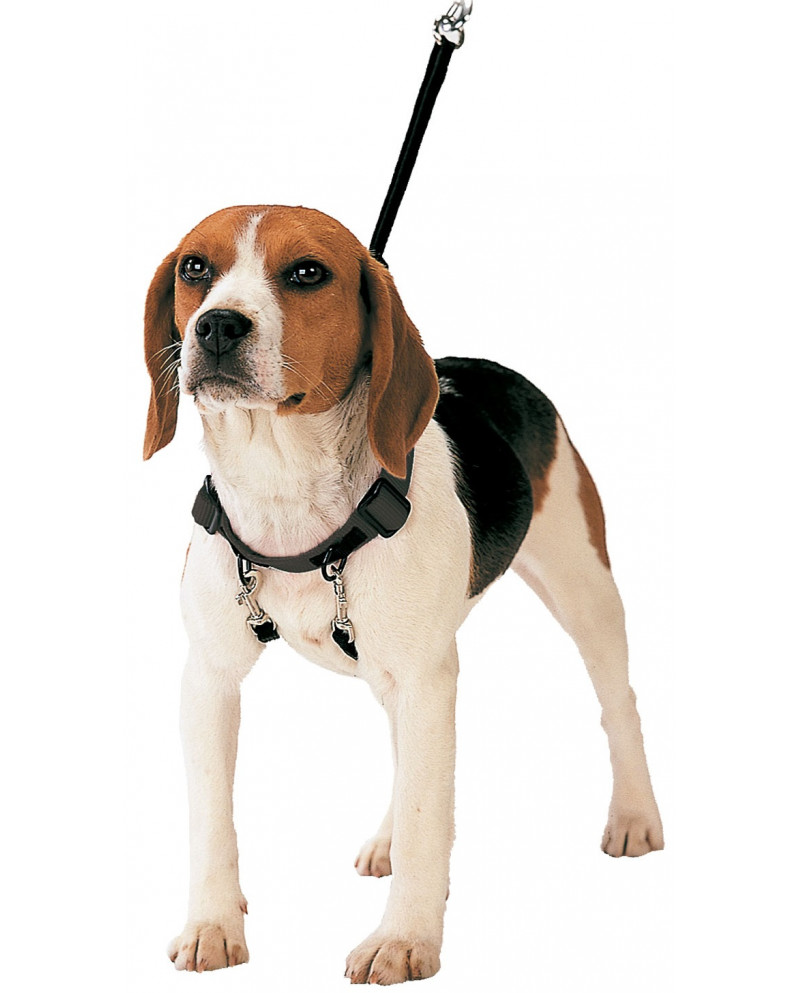 Arnes Corrector De Tiro