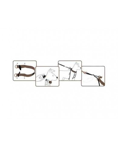 Arnes Corrector De Tiro comprar