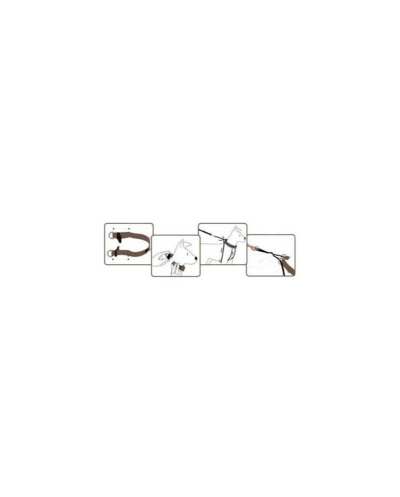 Arnes Corrector De Tiro comprar
