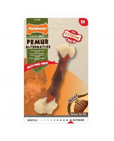 Nylabone Femur Beef