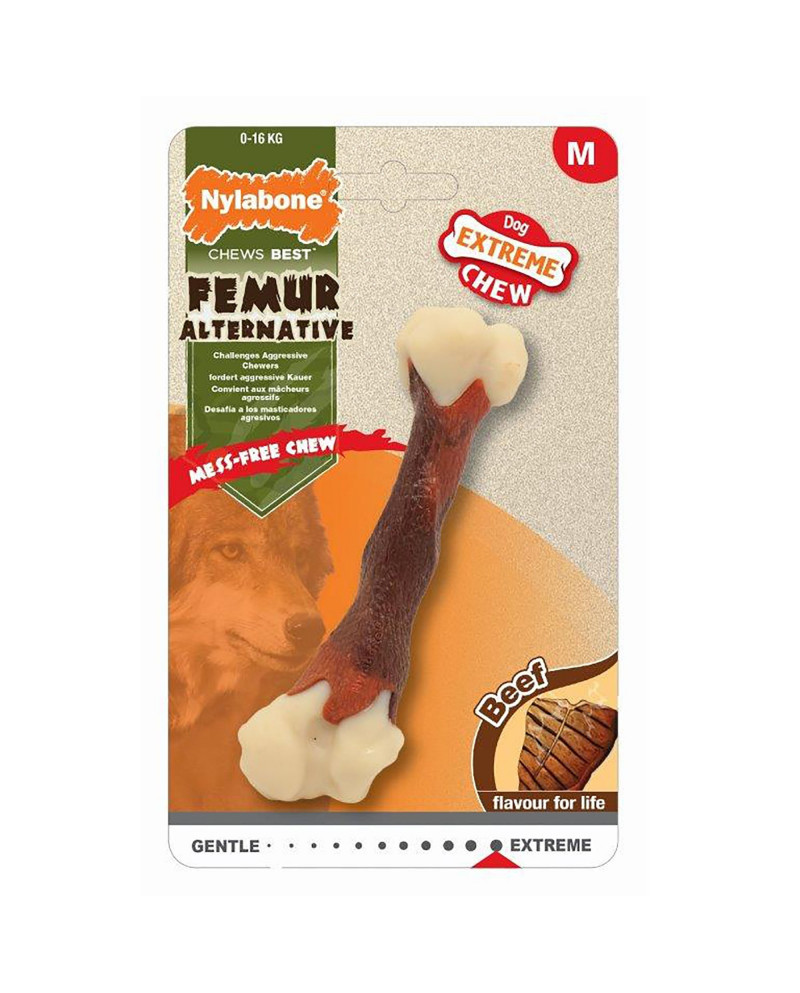 Nylabone Femur Beef