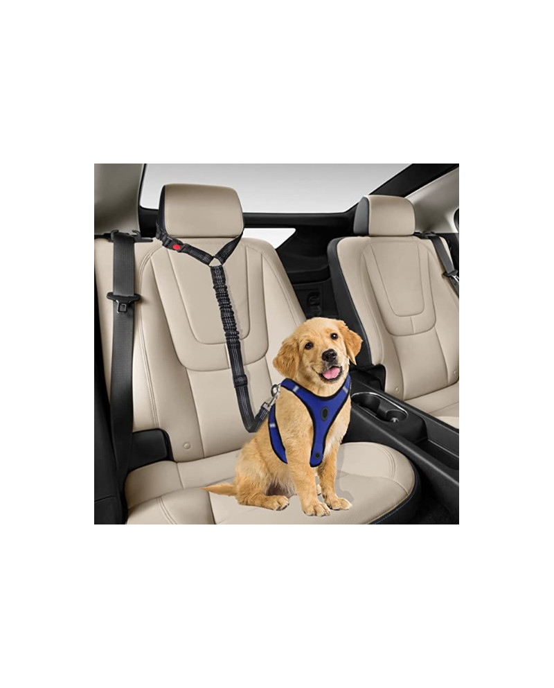 Cinturón de Seguridad con collar de retención Cinturón de Seguridad con collar de retención