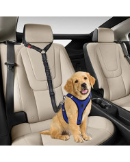 Cinturón de Seguridad con collar de retención Cinturón de Seguridad con collar de retención