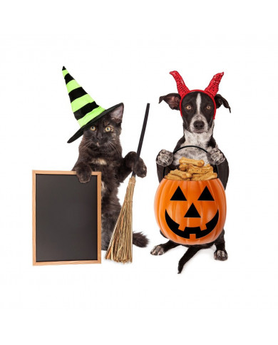 Inscripción II MascoHalloween Cabanillas 2023 Inscripción II MascoHalloween Cabanillas 2023