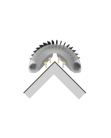 Cepillo Masaje Brush Catnip