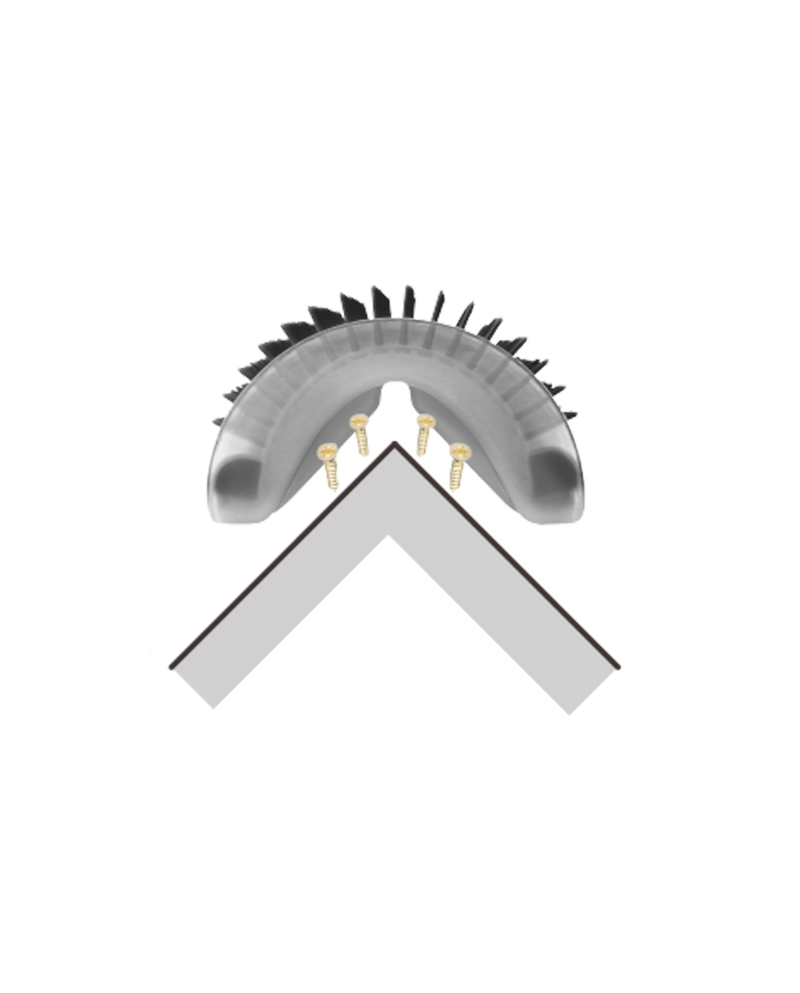 Cepillo Masaje Brush Catnip