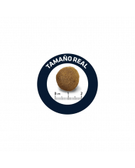 Affinity Advance Pastor Aleman