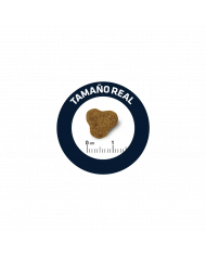 Affinity Advance Yorkshire Terrier