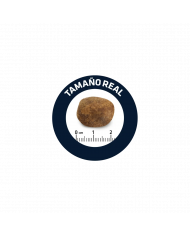 Affinity Advance Labrador Retriver