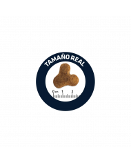 Affinity Advance Bulldog Frances