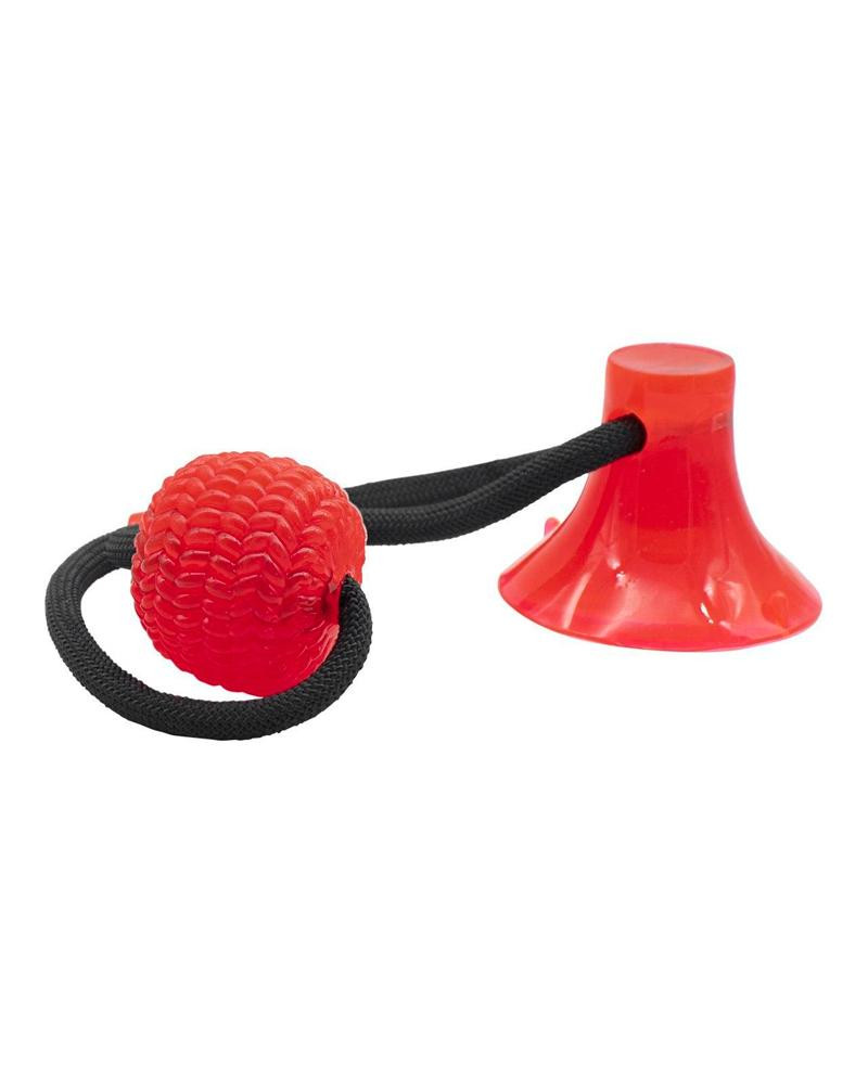Buffi Bubimex Pelota con Ventosa Juguete Perro Divertido