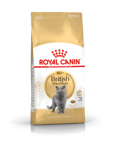 Royal Canin Adult British Shorthair Royal Canin Adult British Shorthair