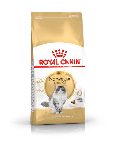 Royal Canin Adult Norwegian Forest Cat Royal Canin Adult Norwegian Forest Cat