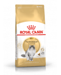 Royal Canin Adult Norwegian Forest Cat