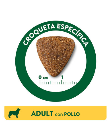 Affinity Libra Adult Pollo