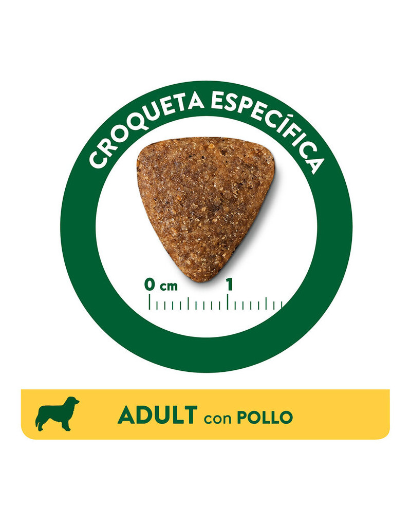 Affinity Libra Adult Pollo