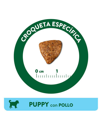 Affinity Libra Puppy Pollo