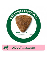 Affinity Libra Adult con Salmón 14kg